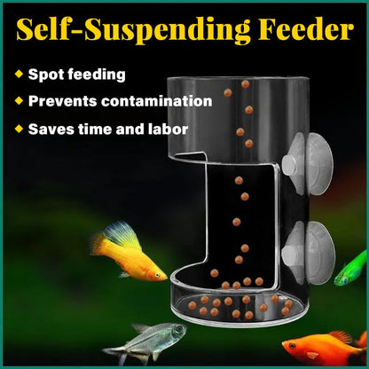 Skorter | Feeding ring and tray for aquarium