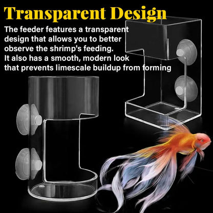 Skorter | Feeding ring and tray for aquarium