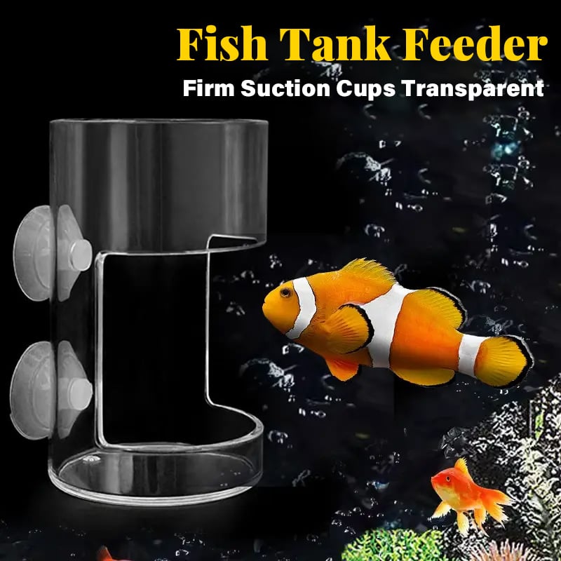 Skorter | Feeding ring and tray for aquarium