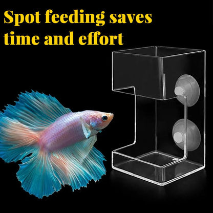Skorter | Feeding ring and tray for aquarium