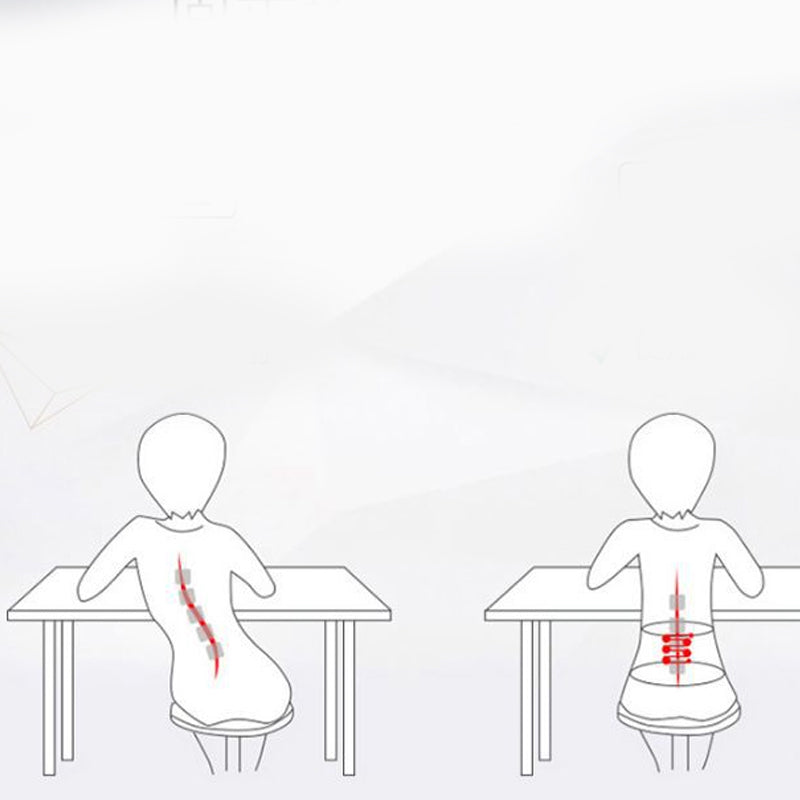 Skorter | Adjustable back support belt for lower back