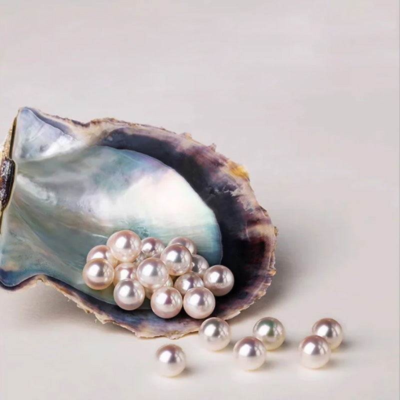 Skorter | BUY 1 GET 1 FREELadies' high-end exquisite handmade pearl brooch