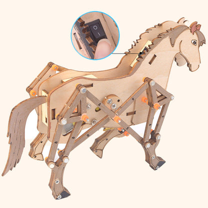 Skorter |  DIY science experiments for kids Creative toys