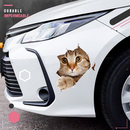 Skorter | 3D stickers with cats and dogs that can be removed