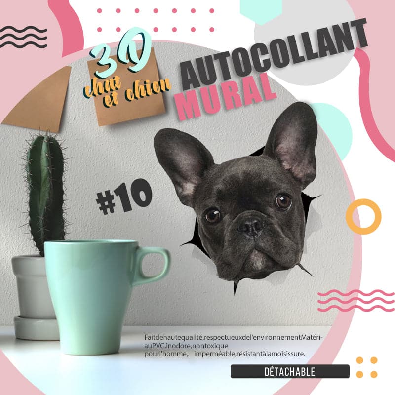 Skorter | 3D stickers with cats and dogs that can be removed