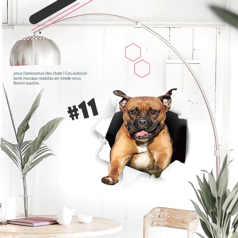 Skorter | 3D stickers with cats and dogs that can be removed