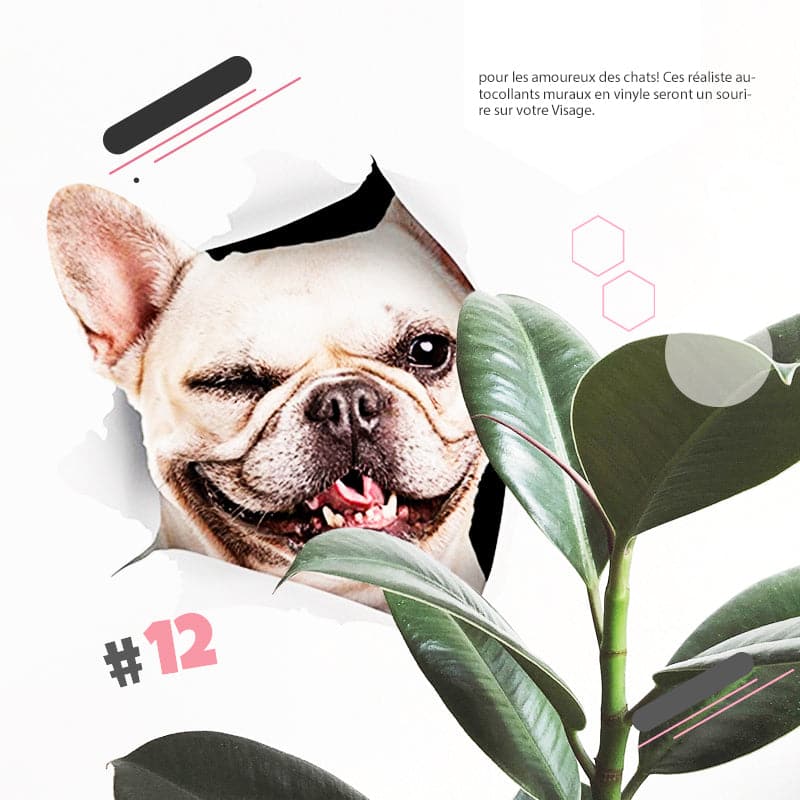 Skorter | 3D stickers with cats and dogs that can be removed