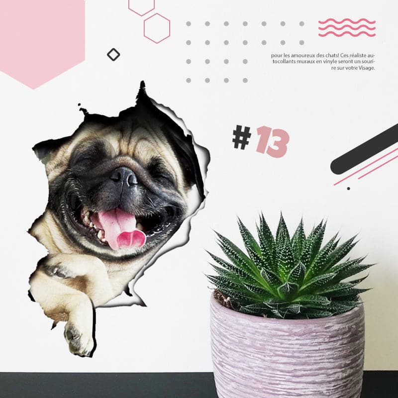 Skorter | 3D stickers with cats and dogs that can be removed