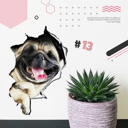 Skorter | 3D stickers with cats and dogs that can be removed