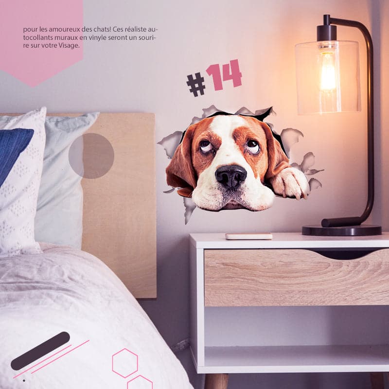 Skorter | 3D stickers with cats and dogs that can be removed