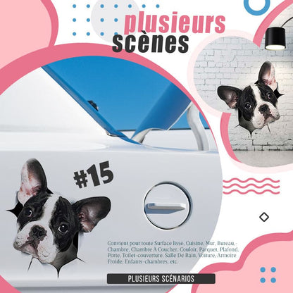 Skorter | 3D stickers with cats and dogs that can be removed