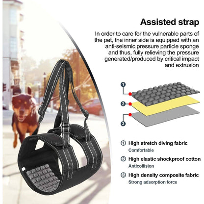 Skorter | Support Belt Set Adjustable Chest Strap for Elderly Disabled Dog