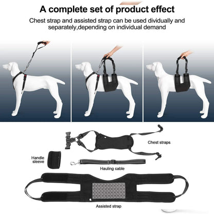 Skorter | Support Belt Set Adjustable Chest Strap for Elderly Disabled Dog