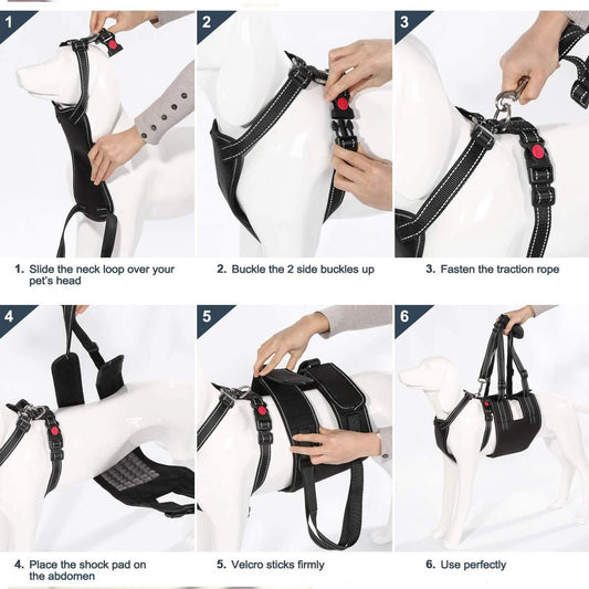 Skorter | Support Belt Set Adjustable Chest Strap for Elderly Disabled Dog