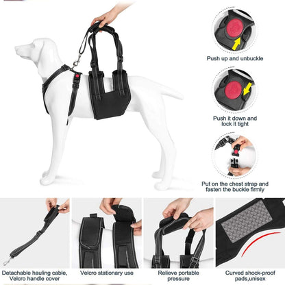 Skorter | Support Belt Set Adjustable Chest Strap for Elderly Disabled Dog