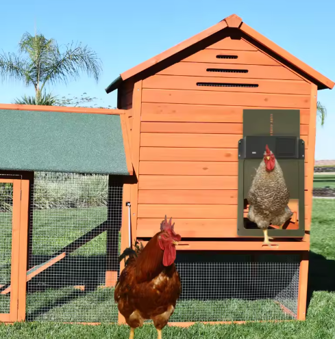 Skorter | Automatic Chicken Coop Door Opener with Timer and Light Sensor