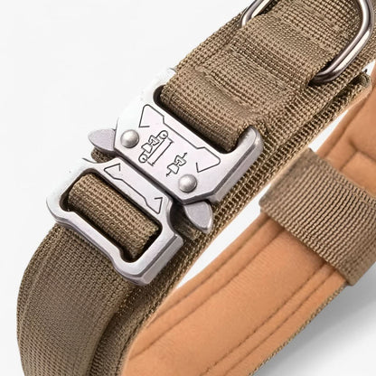 Skorter | Adjustable Dog Collar Set for Adventures and Daily Training