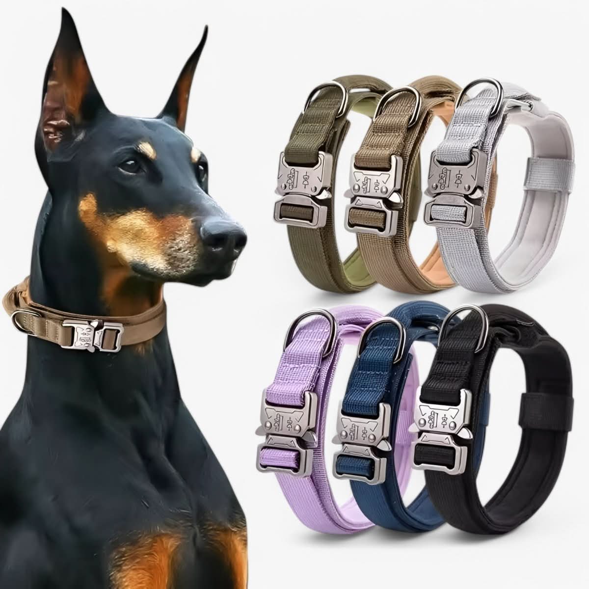 Skorter | Adjustable Dog Collar Set for Adventures and Daily Training