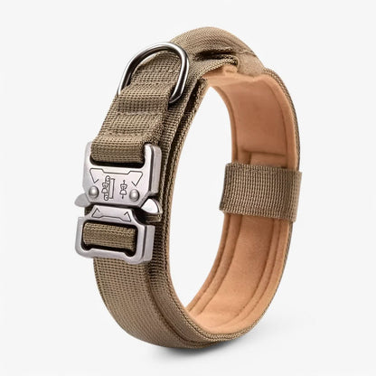 Skorter | Adjustable Dog Collar Set for Adventures and Daily Training