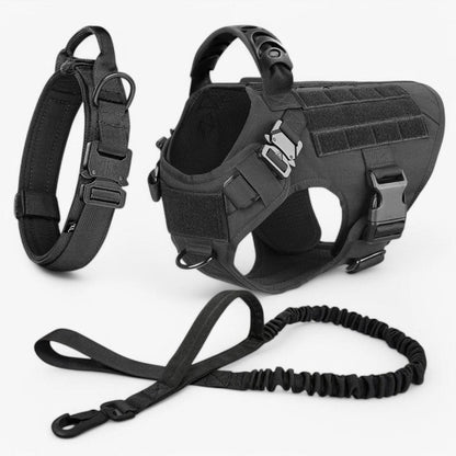 Skorter | Adjustable Dog Harness for Safe and Comfortable Training