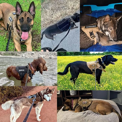 Skorter | Adjustable Dog Harness for Safe and Comfortable Training
