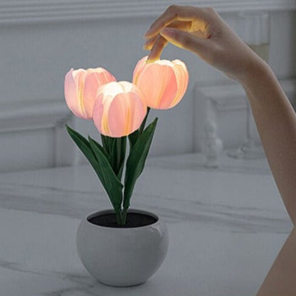 Skorter | Glowing Tulip: Premium Table Lamp