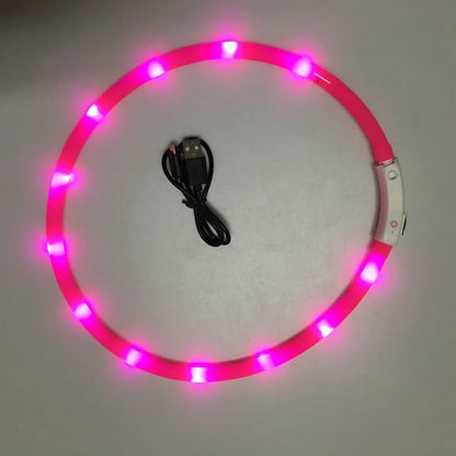 Skorter | LED Pet Collar