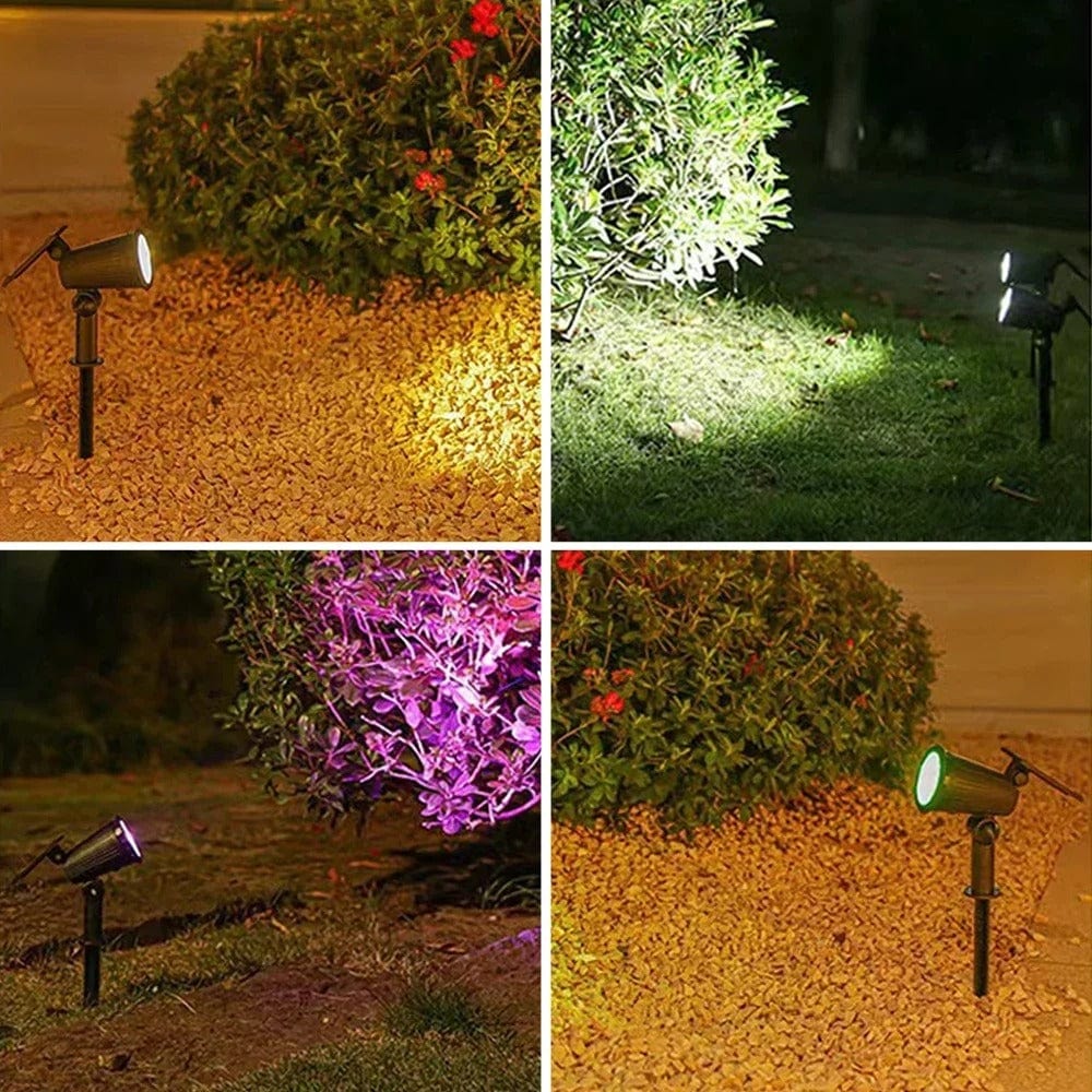 Skorter | Solar-Powered LED Garden Spotlight | Weather-Resistant, Adjustable & Ideal for Pathways, Patios & Outdoor Spaces