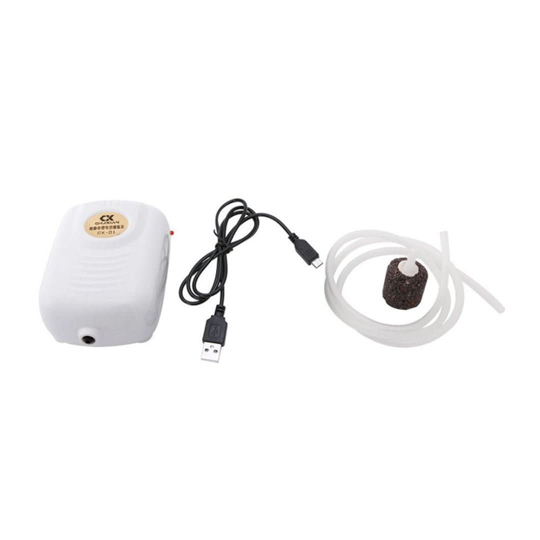 Skorter | Fish Container | Collapsible & Waterproof Fishing Bucket