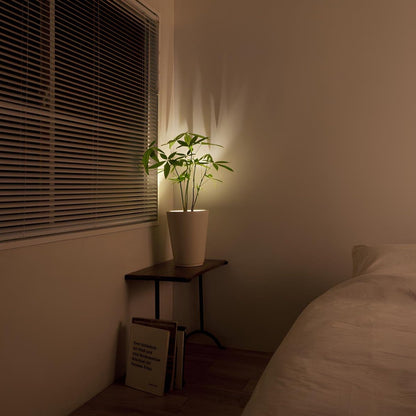 Skorter | Wireless LED Spotlight - LumaSpot