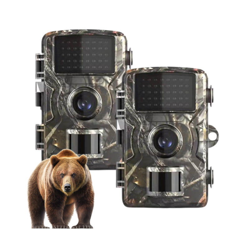 Skorter | 2x Night Vision Outdoor Wildlife Animal Cam Camera