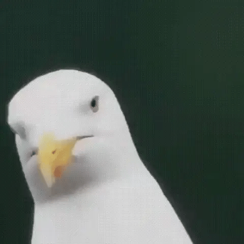 Skorter | Compact 600x Ultra-Zoom Monocular | HD Lens, Lightweight & Perfect for Hiking, Birdwatching, and Sports Events