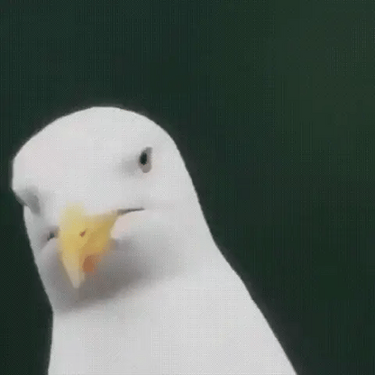 Skorter | Compact 600x Ultra-Zoom Monocular | HD Lens, Lightweight & Perfect for Hiking, Birdwatching, and Sports Events